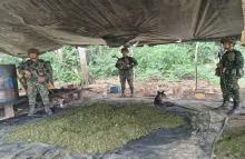 Ubicado en el Guaviare laboratorio con capacidad de producción y almacenamiento de 30 kilos de pasta base de coca al mes