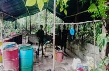 Desmantelado laboratorio para elaborar pasta base de coca en la región del Catatumbo