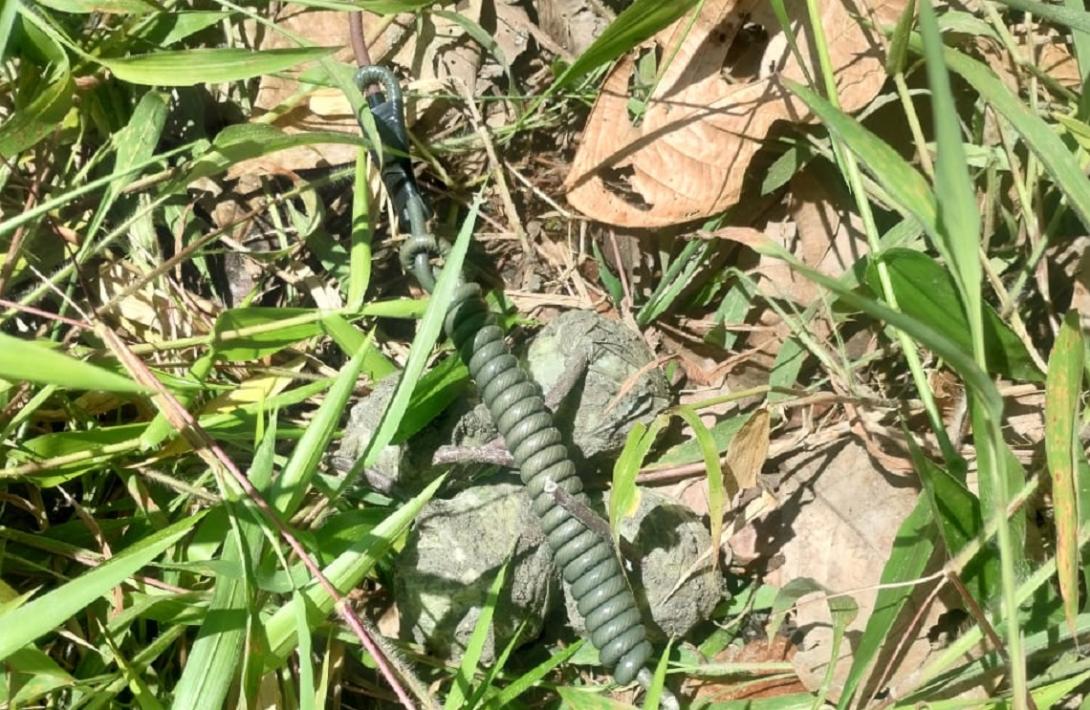 Halladas y destruidas 11 granadas de mano en zona rural de Buenaventura
