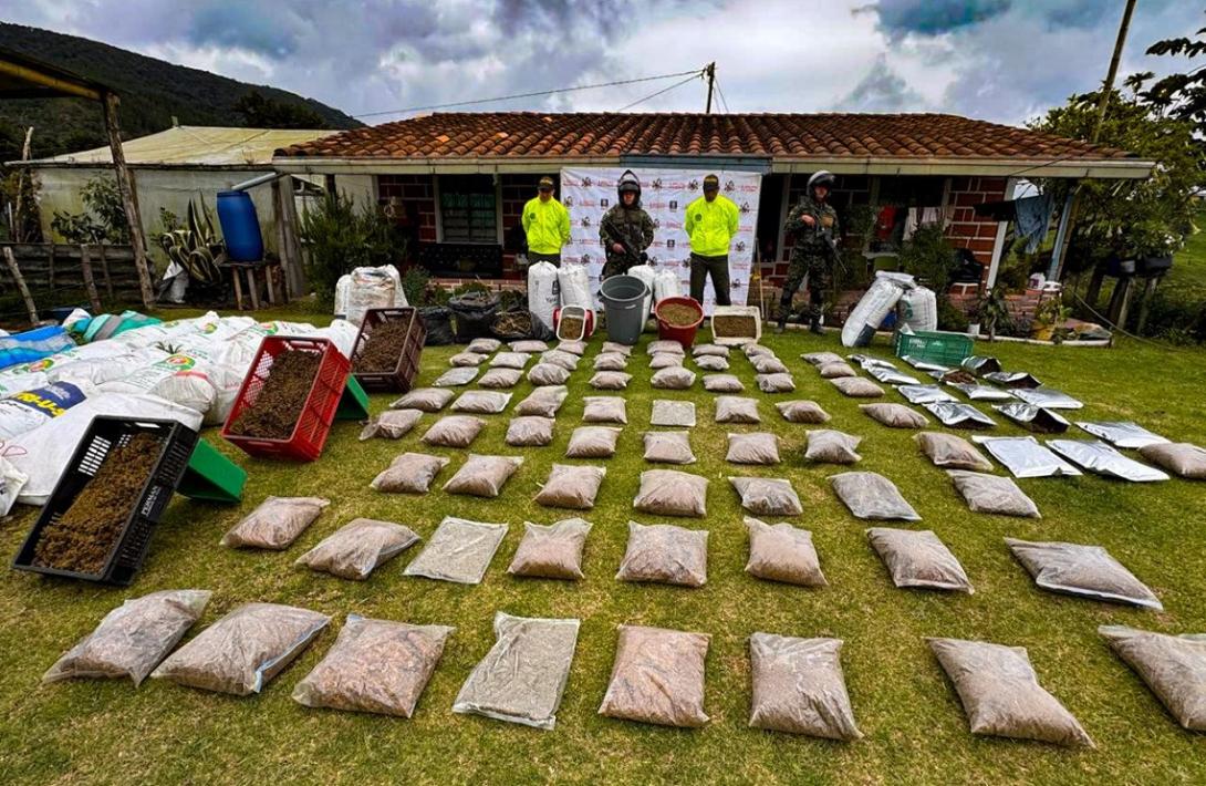 Más de media tonelada de marihuana fue incautada por el Ejército Nacional en San Pedro de los Milagros, Antioquia